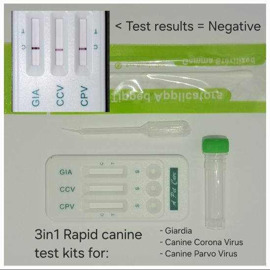 Picture of 3 in1 Rapid test kit for canines (Cpv+Ccv+Gia)
