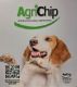 Picture of Find my owner tag 