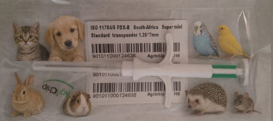 Picture of Microchip rfid fdx-b Pet SUPER Mini 1.25mm x 7mm including a pet record card.