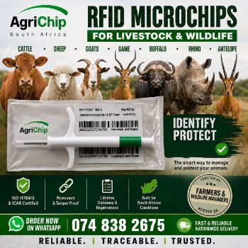 Picture of Livestock and wildlife microchip Rfid 