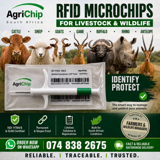 Picture of Livestock and wildlife microchip Rfid 