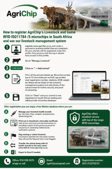 Picture of How to register a livestock and wildlife rfid microchip in South Africa 
